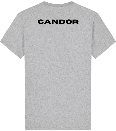 Camiseta Corta Clásica Gris de CANDOR - Imagen 2